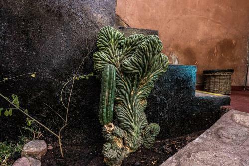 Casa Tradicional Andina Lado Museo Quespihuanca