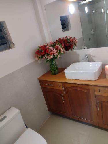 Mini Casa - UNA Experiencia Que No Puedes Dejar Pasar