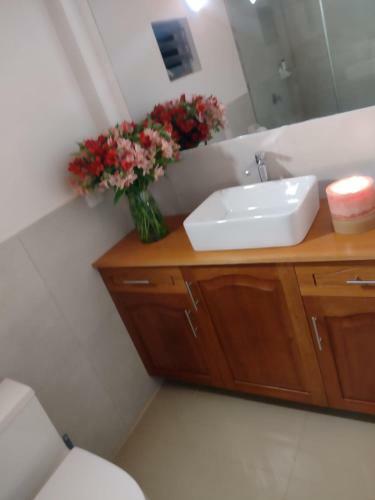 Mini Casa - UNA Experiencia Que No Puedes Dejar Pasar