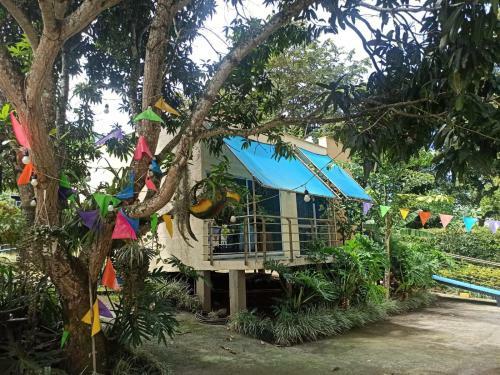 Hostal Habitaciones Y Casas Campestres Ibague