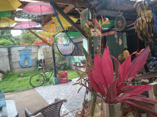 Junglebeachbliss!