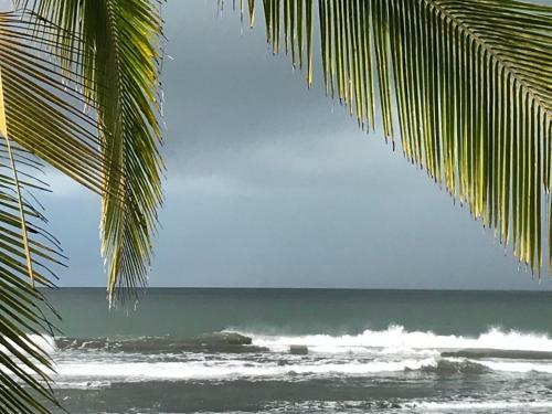 Hostal Meditating Waves