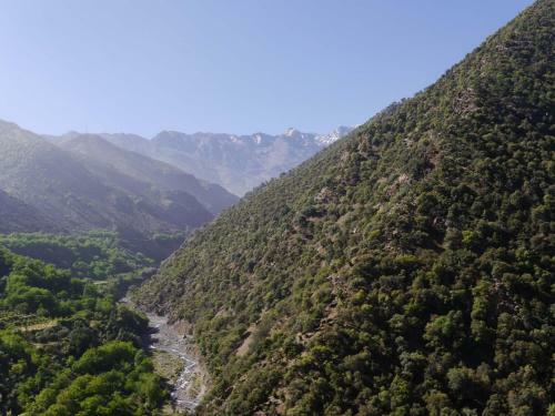 Bed & Breakfast Dar Tirardine