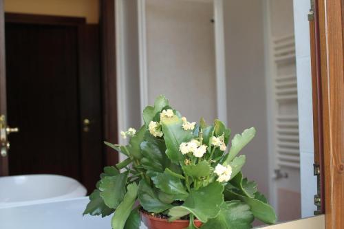 Apartamento Borgo Nicoletta
