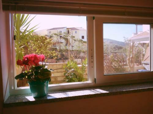 Apartamento A Domo Mia
