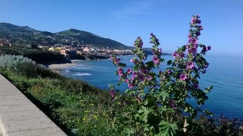 Apartamento A Domo Mia