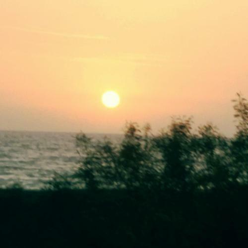 Bed & Breakfast Mirto E Mare