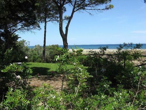 Bed & Breakfast Mirto E Mare