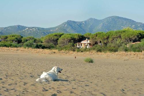 Bed & Breakfast Mirto E Mare