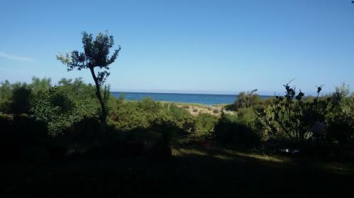 Bed & Breakfast Mirto E Mare