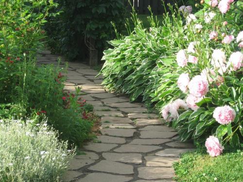 Bed & Breakfast Les Colibris