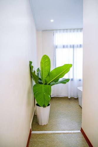 The King Hotel - Condotel Thai Nguyen