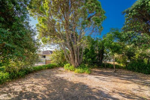 Rangimarie On Kenwood- Matarangi Holiday Home