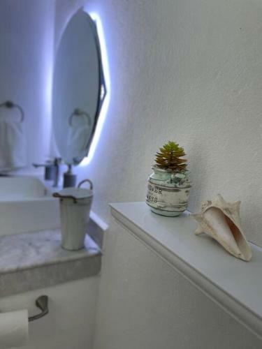 Apartamento Espectacular Departamento En Manzanillo
