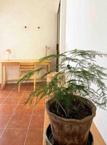 Apartamento Loft Ideal Con Cochera A 10 Minutos Del Centro