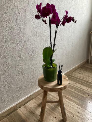 Apartamento Rustig Appartement In Het Groen Met Terras