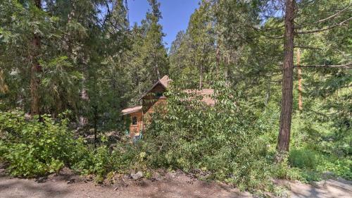 Rustic, Forested Cabin With Wraparound Deck!