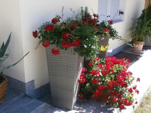 Hostal Garni Hattlerhof B&B