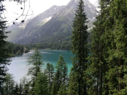 Hostal Garni Hattlerhof B&B