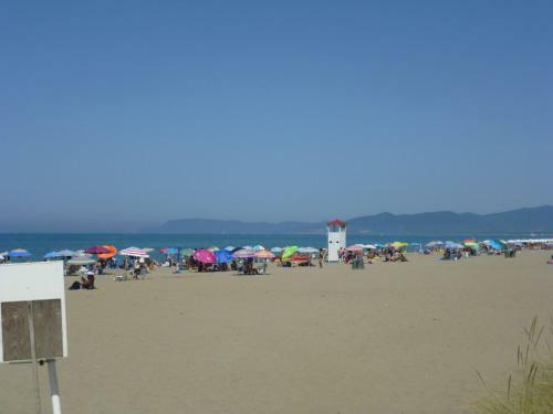 Apartment Il Girasole Grosseto