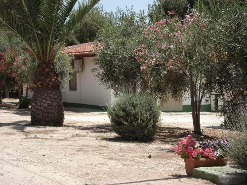 Apartamento Capo Scalambri