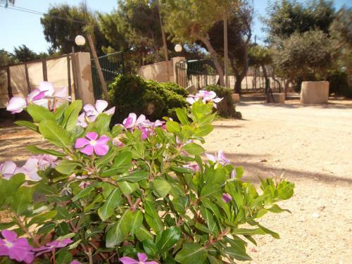 Apartamento Capo Scalambri