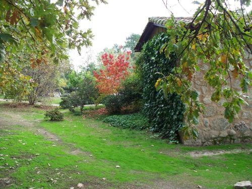 Apartamentos El Roble