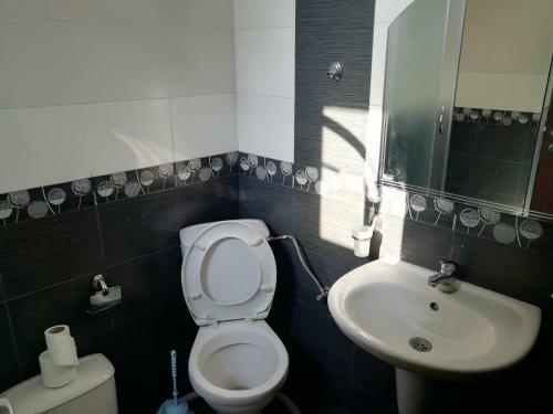 Albergue Sova