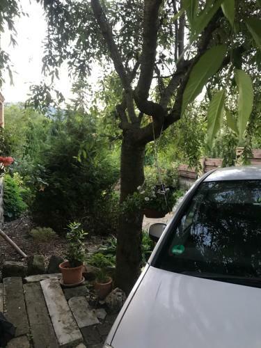 Prostorn� Byt Ve Vile Se Zahradou