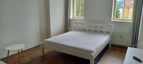 Apartamento �tuln� Byt V Historick�m Dom?
