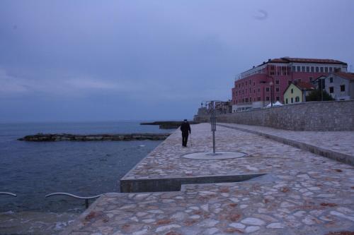 Apartments Tomato