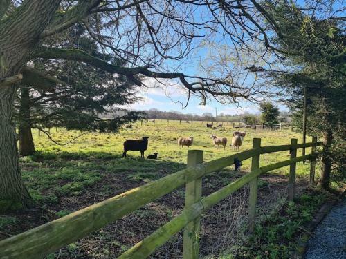 Rural, Peaceful Barn In The Shropshire Countryside