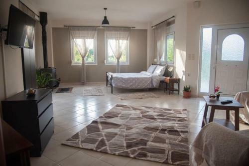Apartamento Ioannina Cozy Retreat