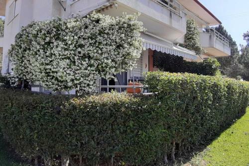 Kleo House Kalives Polygyros Halkidiki