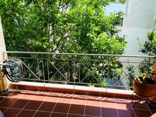 Apartamento Pavlina