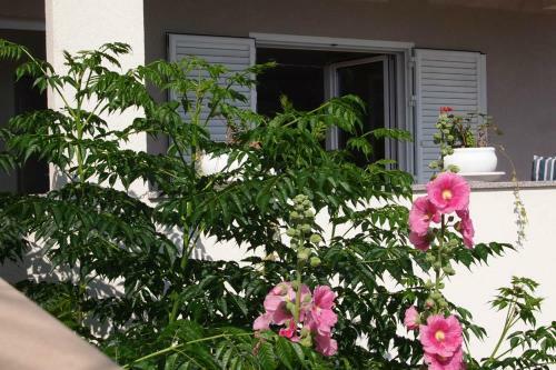 Apartamento Open Hus