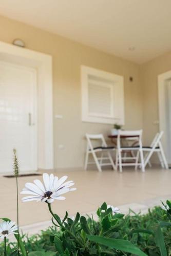 Apartamento Sofia