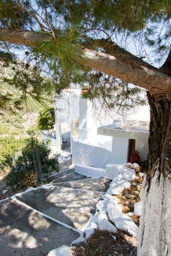 Mertonas View House