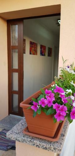 Apartmani Zem, Krk