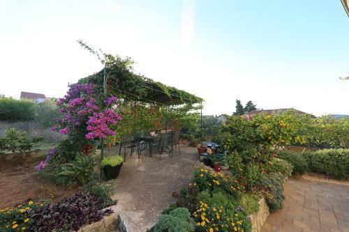 Apartmani Branka Murter