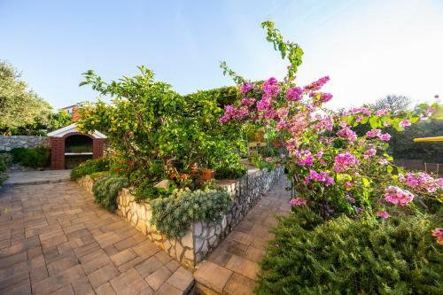 Apartmani Branka Murter