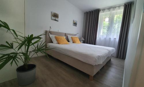 Divine View Apartma