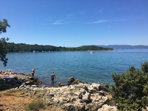Apartman Kora