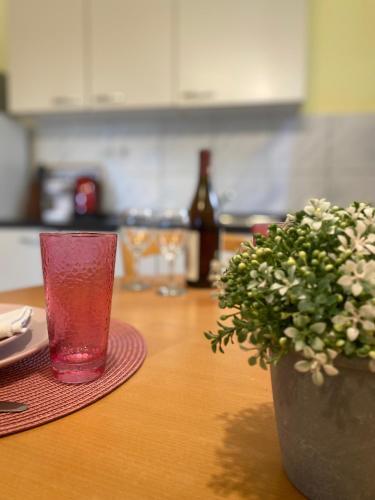 Apartman Kova?