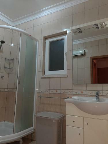 Apartment Dropulic
