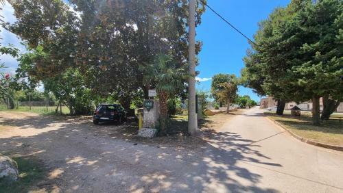Apartamento Davor