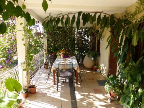 Apartmani Marijela