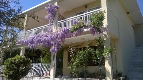 Apartmani Marijela