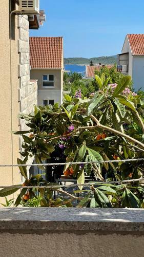 Apartmani Slavonija