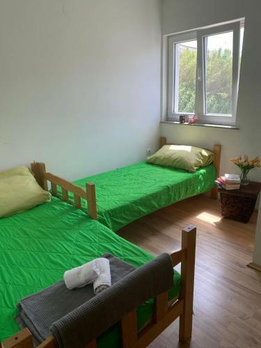 Apartments Maro